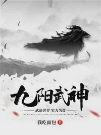 九阳武神叶云飞完结