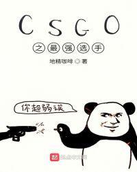 CSgo选手