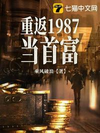 重返1987当首富26