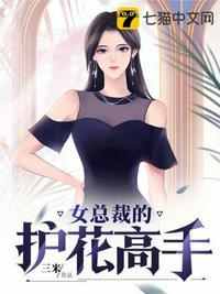 美女总裁的护花高手叶凡全文阅读