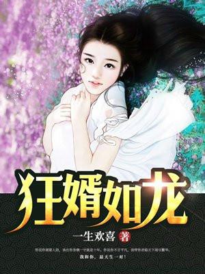 狂婿如龙完整版