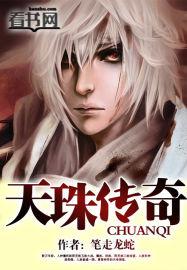 天珠传奇epub