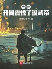 大汉开局震惊了汉武帝