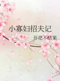 小寡妇招夫记无防盗章全文阅读