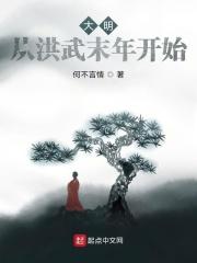 大明从洪武末年开始无弹窗