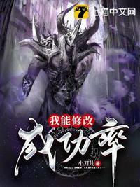 我能修改成功率完整版