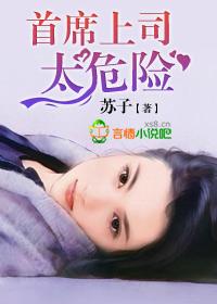 首席总裁太危险无删减版