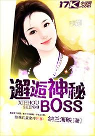 邂逅神秘boss电视