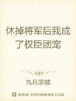 将军休书已出