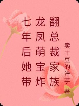 七年后她携带萌宝归来