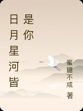 日月皆星辰什么意思