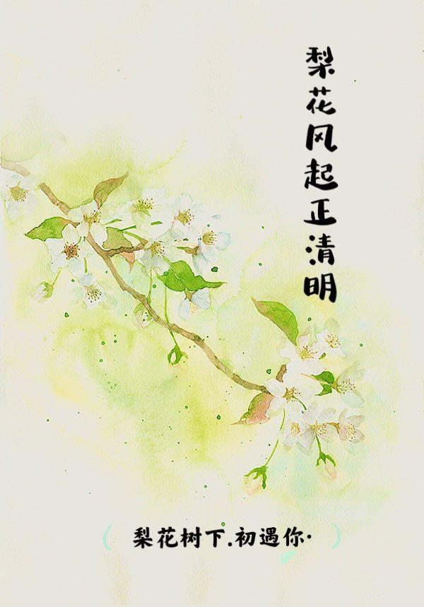 梨花风起正清明文章