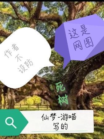 除树剂除大树方法