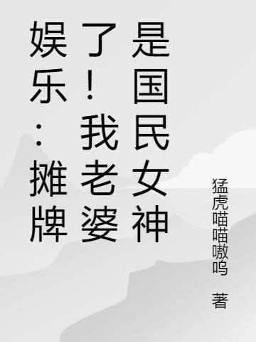 我的老婆是国民女神