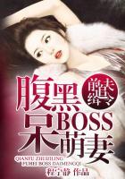 前夫追缉令腹黑boss呆萌妻陆臻和诺兰