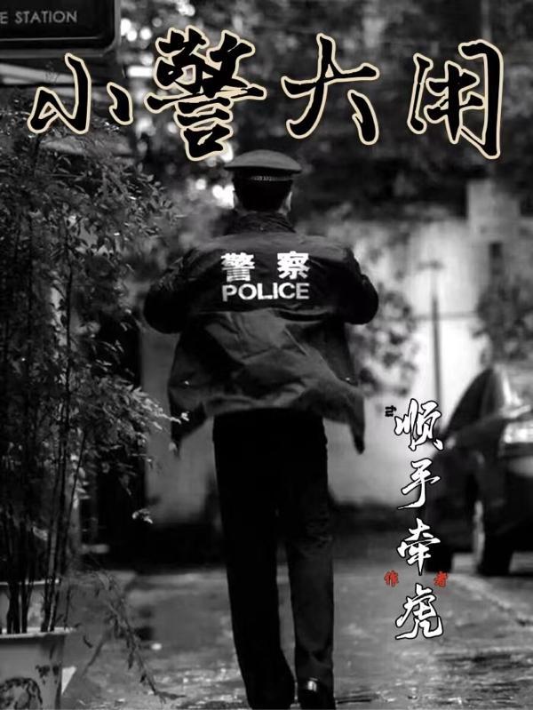 小警大用全书TXT免费