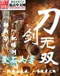 无双刀剑2