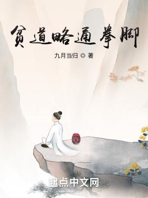 贫道什么意思