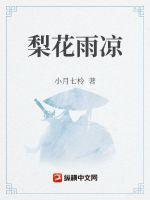 寒灯梨花雨凉