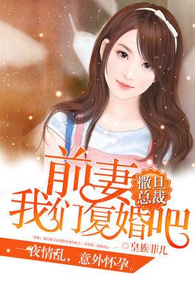 撒旦总裁前妻我们复婚吧完结版