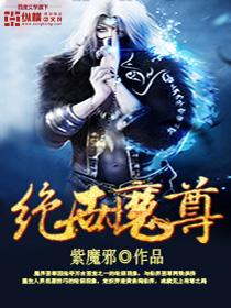 绝世魔尊叶空合集