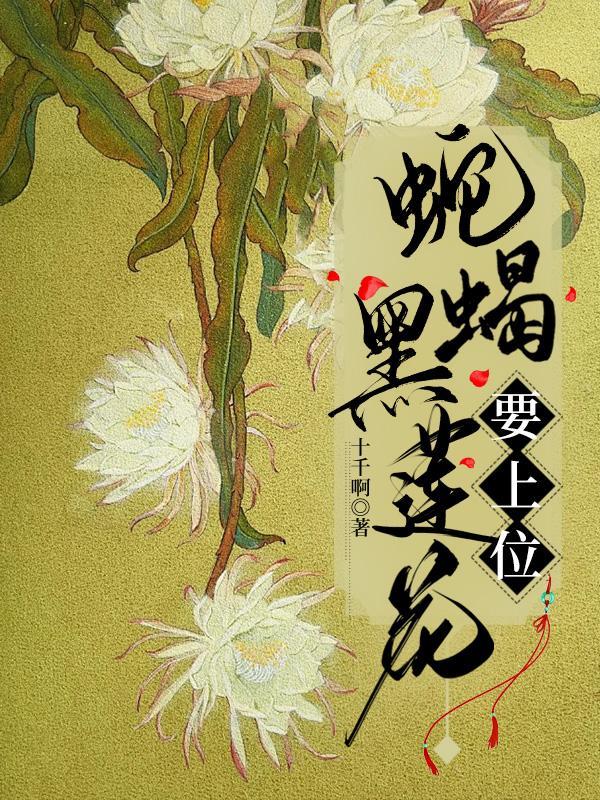 黑莲花上位1-280集完整版免费