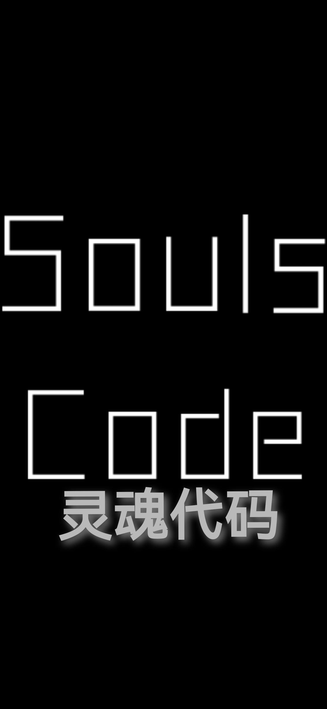 soul的灵魂