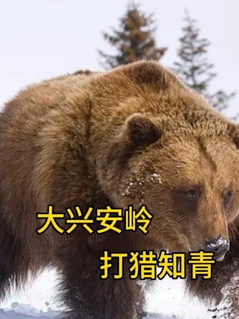 东北大兴安岭打猎电影