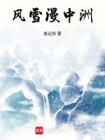 风雪漫中州攻略