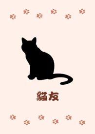 猫友爱是正规公司吗