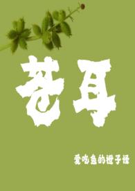 苍耳剧情