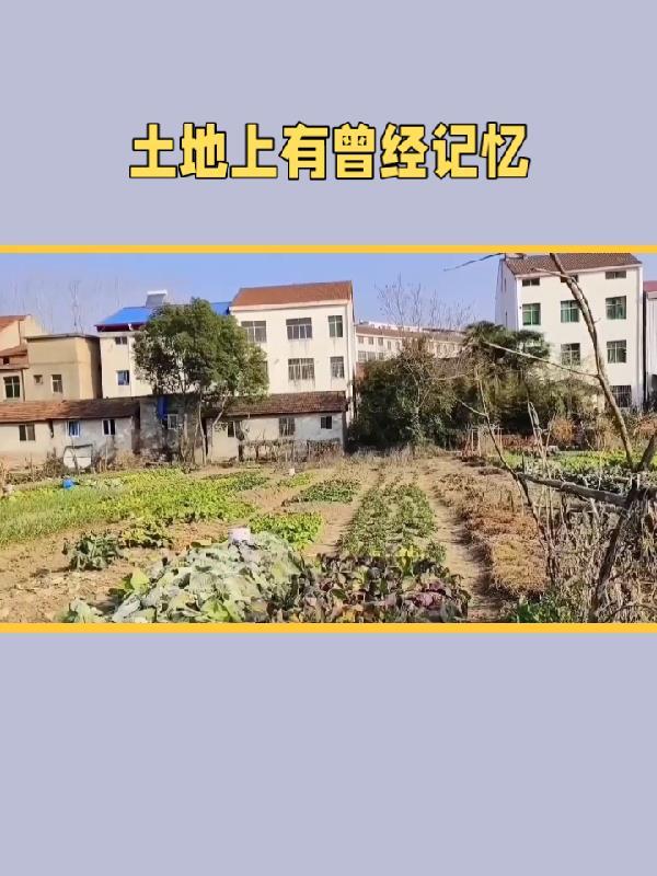 土地里会存在什么