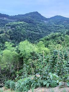 都市全能风水师