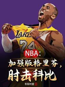 我想要nba