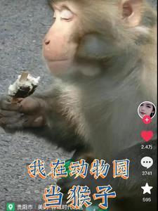 变成猴子身上的虱子