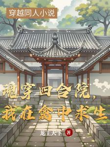 魂穿情满四合院