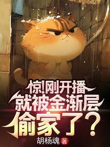 金渐层猫视频