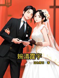 女主角叫婉清