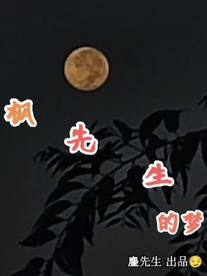 枫先生的夏日