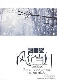 那一场风花雪月是什么歌