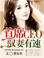 首席CEO