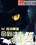 回到过去变成猫作者