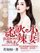 惹火小辣妻霸道boss