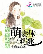 暖婚蜜爱盛宠小甜心