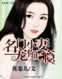 名门宠婚小小妻