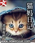 遇见你的猫日记