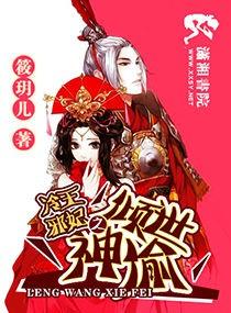 冷王邪妃之倾世神偷全本