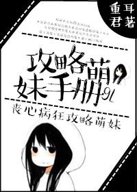 萌娘攻略pdf